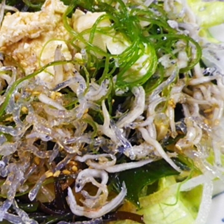 海藻豆腐しらすサラダ
